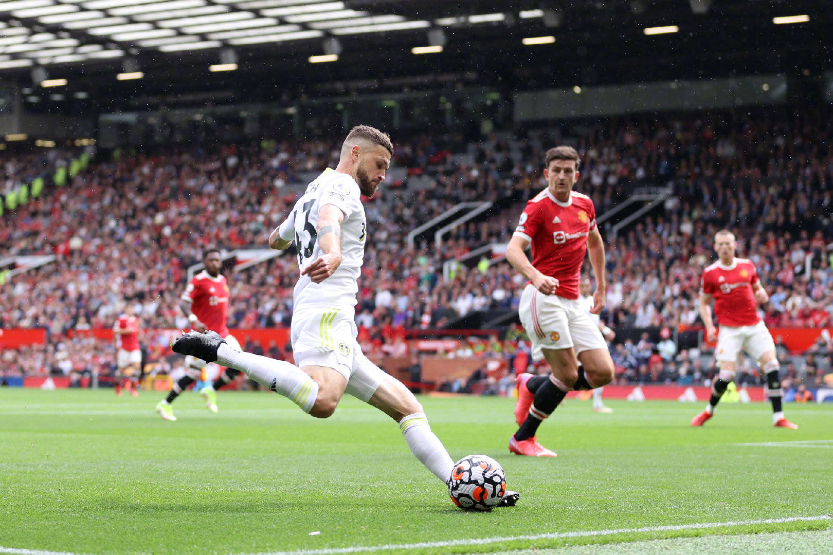 能是他们为 能是他们为